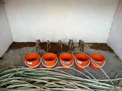 WhatsApp Image 2020-05-22 at 10.21.25 (2)